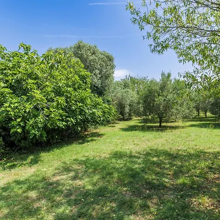 Appartamento Lorenzin By Interhome